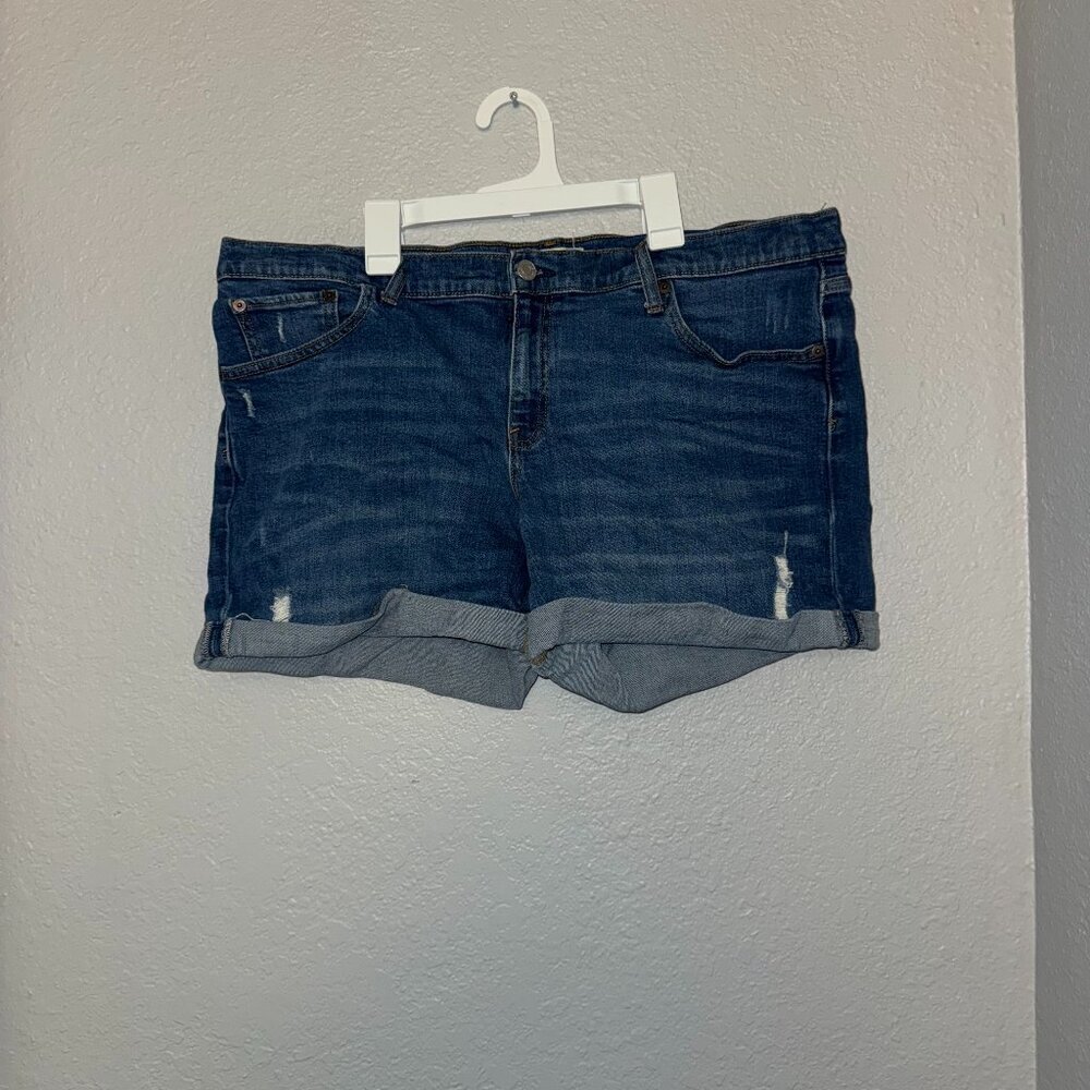 Gap 1969 Women 5" Denim Jean Shorts